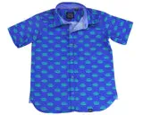 HEDGEHOGS IN BLUE