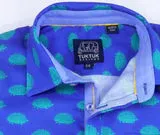 HEDGEHOGS IN BLUE